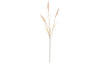 Umelá kvetina Vetva pšenice 75 cm, krémová