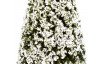 Vánoční dekorace Zasnežený stromček, 16 cm