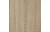 Šatníková skriňa Carlos, dub sonoma, 100 cm