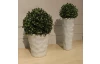 Umelá kvetina Buxus 14 cm