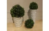 Umelá kvetina Buxus 14 cm
