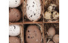 Veľkonočná dekorácia Vyfúknuté vajíčka, 12 ks, biela/hnedá