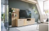 TV skrinka s panelom Gatwick, dub artisan/kašmírová béžová