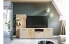 TV skrinka s panelom Gatwick, dub artisan/kašmírová béžová