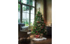 Vianočný stromček výška 185 cm