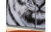 Šatníková skriňa Yanis, s motivom tigra