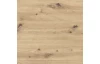 Vitrína Trondheim 64 cm, dub artisan/dub čierny