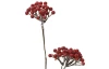 Umelá kvetina Červené bobule na stonke, 50 cm