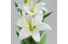 Umelá kvetina Lilie 78 cm, krémová