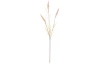 Umelá kvetina Vetva pšenice 75 cm, krémová