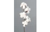 Umelá kvetina Bavlník 49 cm, biela