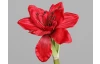 Umelá kvetina Vianočný amarylis 30 cm, červená