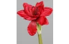 Umelá kvetina Vianočný amarylis 30 cm, červená