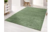 Koberec Montana 120x170 cm, mätovo zelená