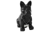 Dekoračná soška Francúzsky buldoček 18 cm, čierna