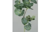 Umelá rastlina Eukalyptus 64 cm, zelená