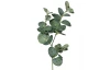Umelá rastlina Eukalyptus 64 cm, zelená