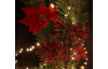 Vianočné dekorácie Mašľa 2 ks, červený tartan