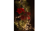 Vianočné dekorácie Mašľa 2 ks, červený tartan