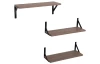 Súprava 3 kusov políc Lamezia, dub sonoma