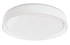Stropné LED osvetlenie Ilvi 50 cm, stmievateľné s ovládačom