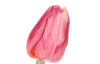 Umelá kvetina Tulipán 43 cm, ružová