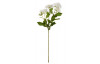 Umelá kvetina Astra 70 cm, biela