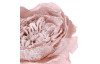 Umelá kvetina Anglická ruža 51 cm, cappuccino