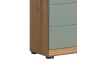 Vysoká skrinka s priehradkami Scout, dub artisan/šalviovo zelená