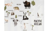 Obraz na plátne Mapa sveta so zvieratami, 40x50 cm