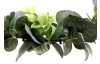 Umelý veniec Eukalyptus 26 cm, zelený