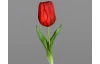 Umelá kvetina Tulipán 20 cm, červená