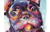 Obraz na plátne Francúzsky buldoček, 35x35 cm, efekt ručnej maľby