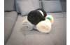 Deka Kuschelteddy 150x200 cm, prírodná