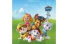 Detský obraz Paw Patrol veža, 35x35 cm