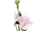Umelý kvet Eustoma 80 cm, ružová