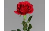 Umelá kvetina Ruža 58 cm, červená