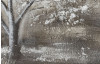 Ručne maľovaný obraz Zasnežený strom 100x70 cm, 3D štruktúra