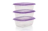 Súprava dóz na potraviny (3 ks) Accasa 1,25 l, fialová