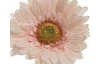 Umelá kvetina Gerbera 50 cm, broskyňová