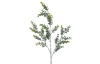 Umelá rastlina Eukalyptus 73 cm, zelená