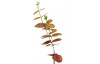 Umelá kvetina Eukalyptus, 51 cm