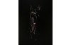 Obraz na plátne Čierny žrebec, 60x80 cm