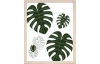 Zarámovaný obraz Tropické listy, 24x30 cm