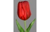 Umelá kvetina Tulipán 20 cm, červená