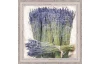 Rámovaný obraz 40x40 cm FAP246