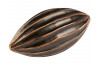 Kakaový bob dekoračný 17 cm