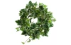 Umelá rastlina Veniec brečtanu, 25 cm