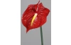 Umelá kvetina Anthurium 65 cm, červená