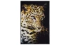 Koberec Digital 100x150 cm, leopard